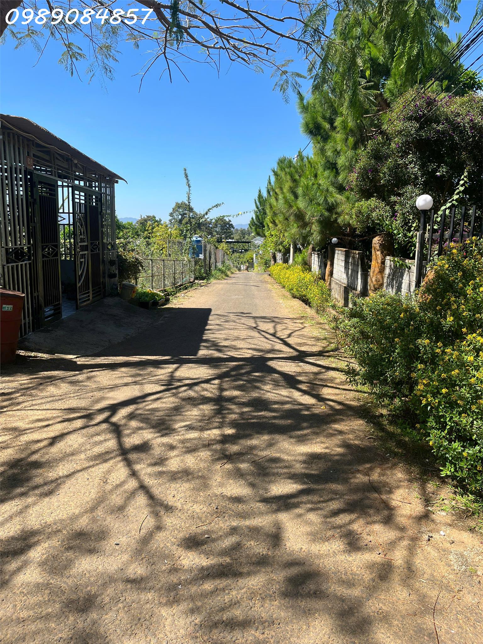 ba477e69-2bc8-4410-a7dc-0e1a444423da