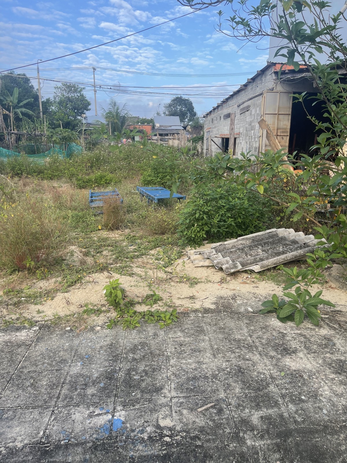 fc74f570ce0113ef4819fbc5cfbdcfff