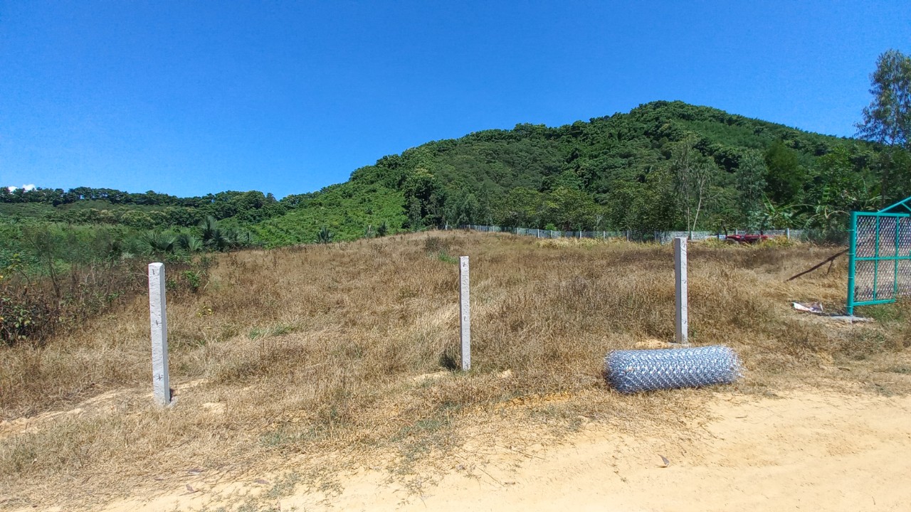 z3711994787513_1984672f86ed29d7ed89bce731bb0abd