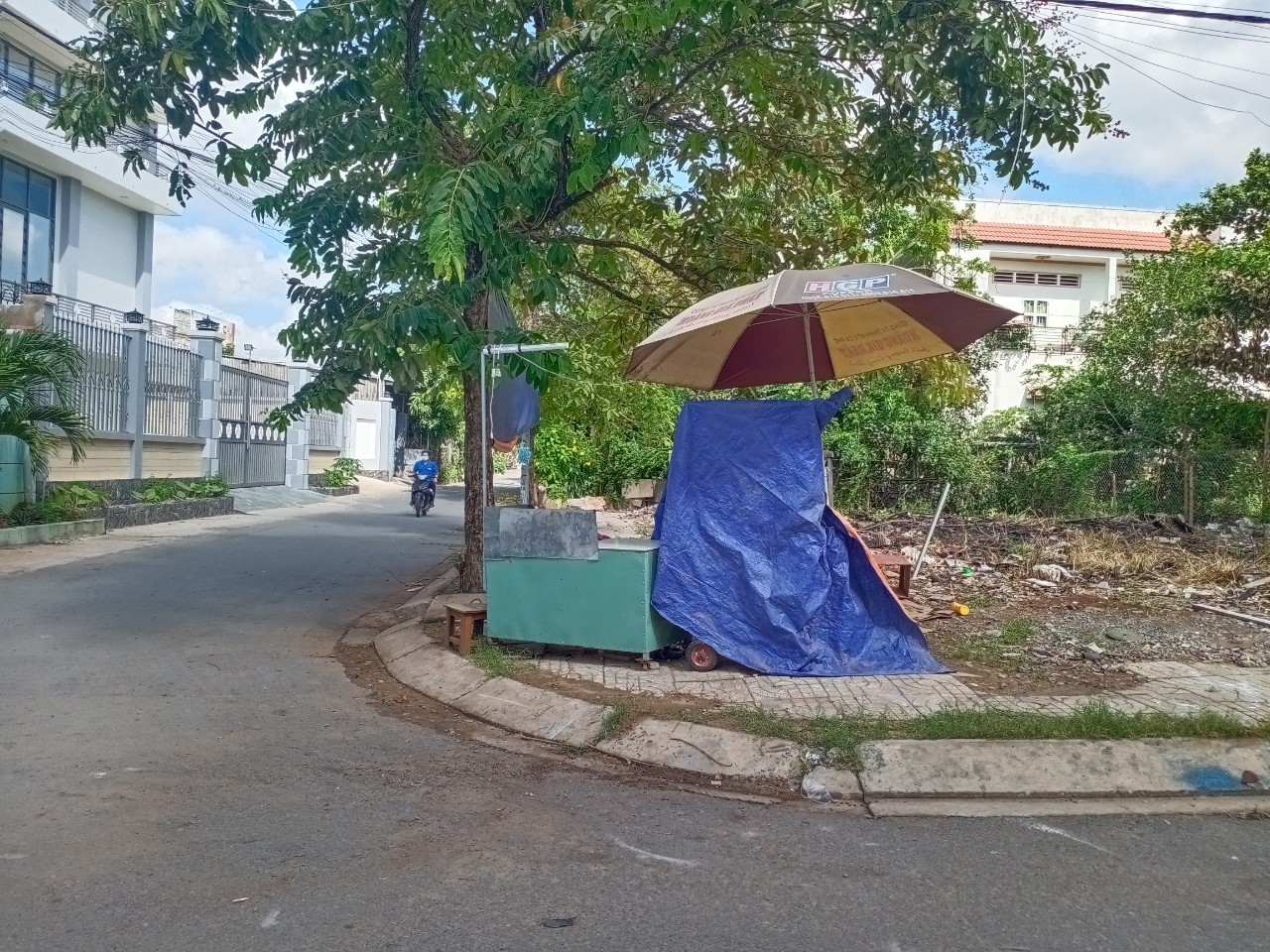 z3882437045826_faedb0e4246b74e342deca58115de6bf