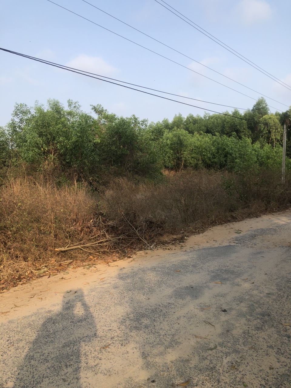 z5223345304194_7f7b59690a20f2ceb9e209a583722040.jpg_bak_638717757568055897