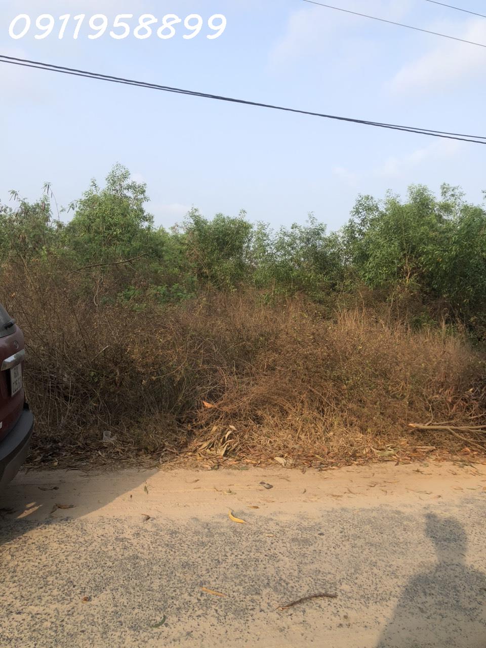 z5223345322474_f33df7ae9e40ec33170f9a85605bbb05