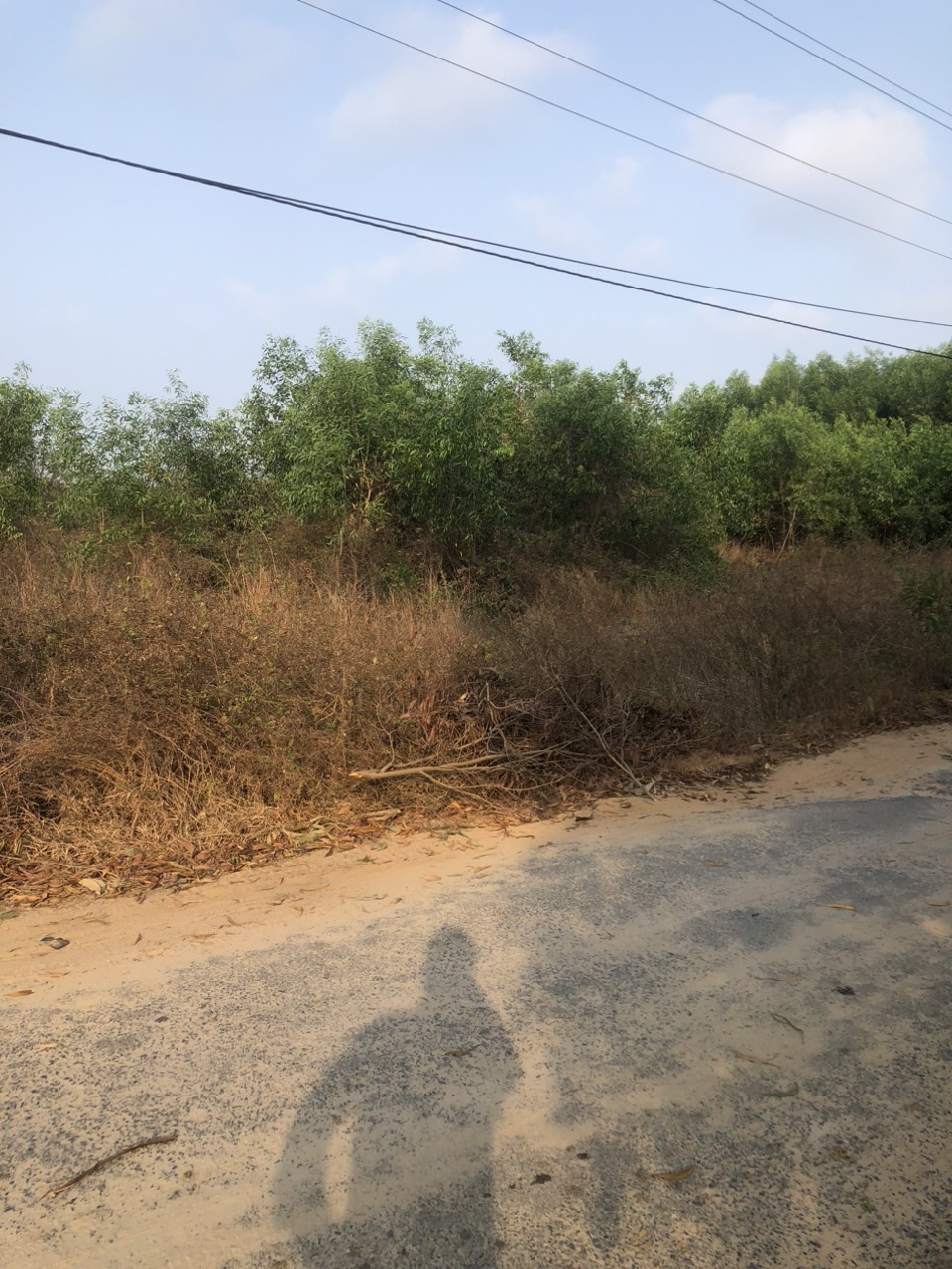 z5223345326813_3029dd75b5559e3d728415778e9e7445