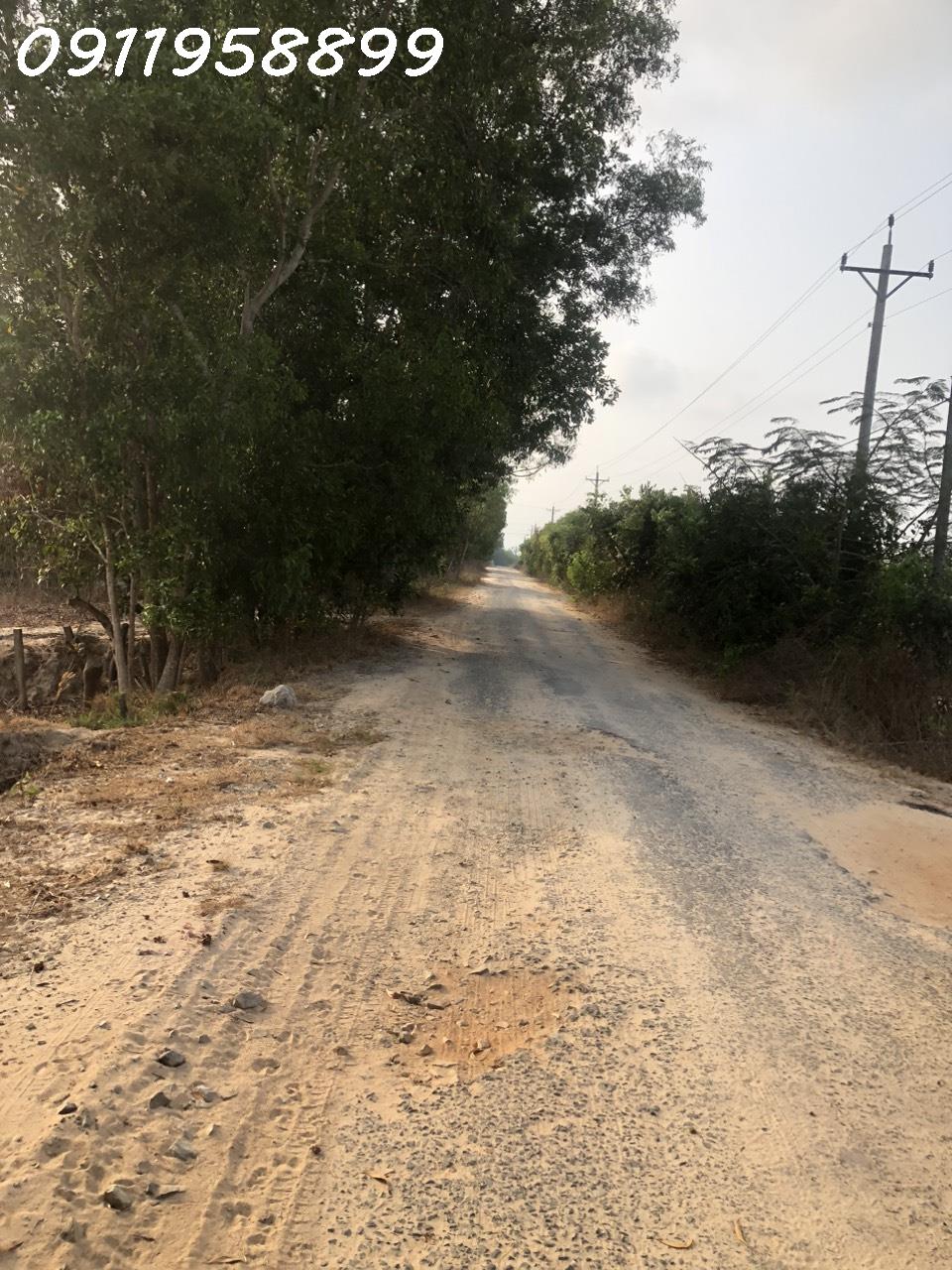 z5223345330653_5e5df77e5e863182194985f827898b5a