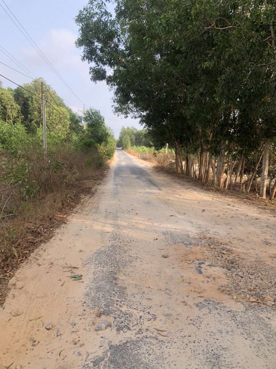 z5223345335233_77a87f7f9dbfc07a7a794cd61b331fd0.jpg_bak_638717757574765066