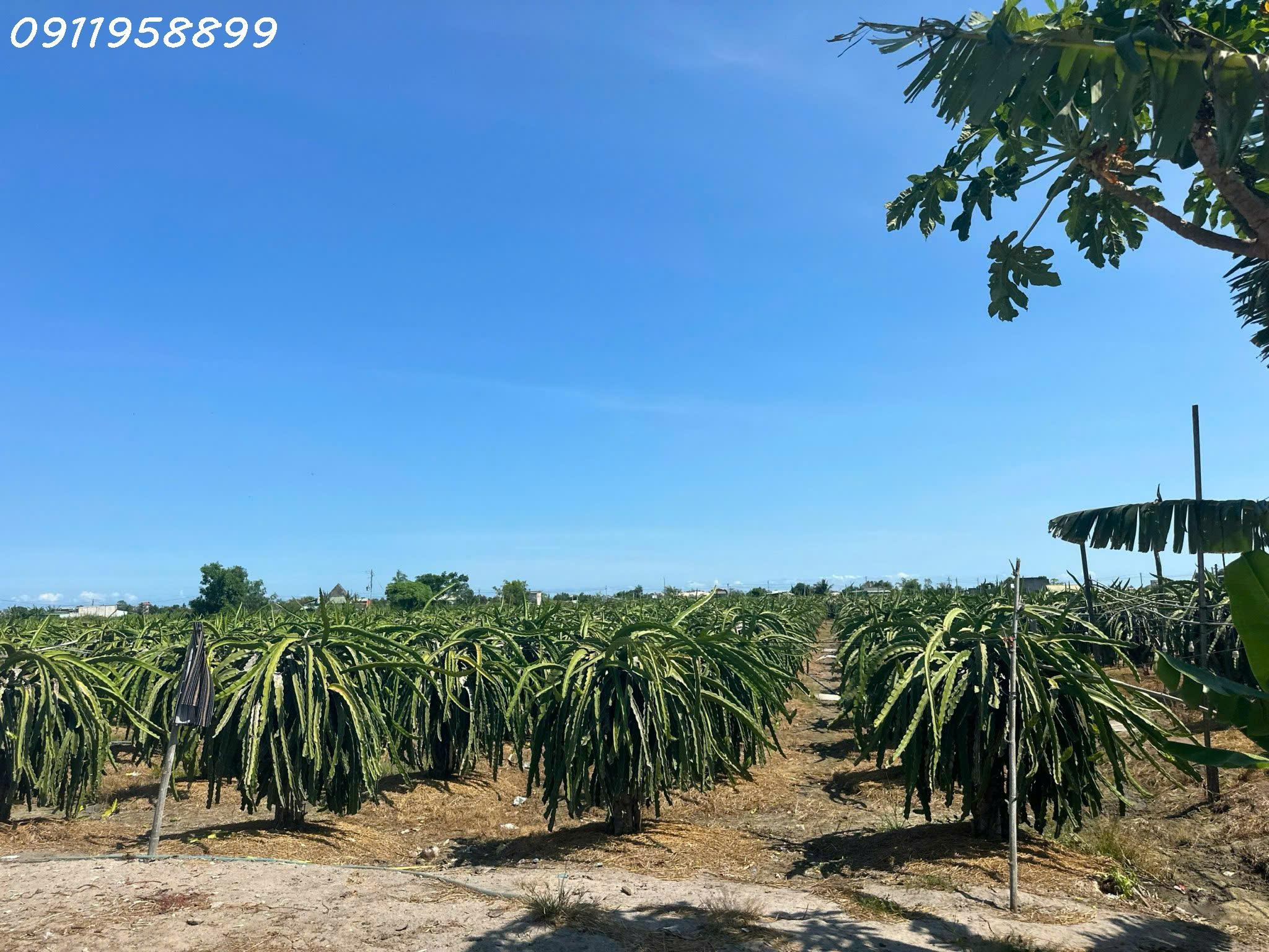 z6188389841384_9094117f00cd22c5e6729001a6136c91