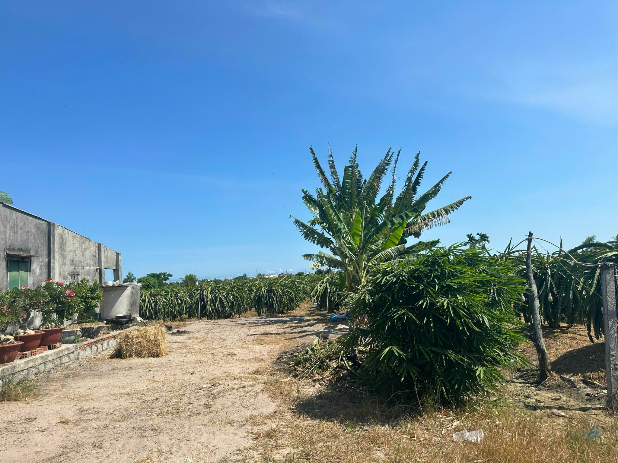 z6188389892292_9357c47ae6f4b4967fa7895d81dc9354