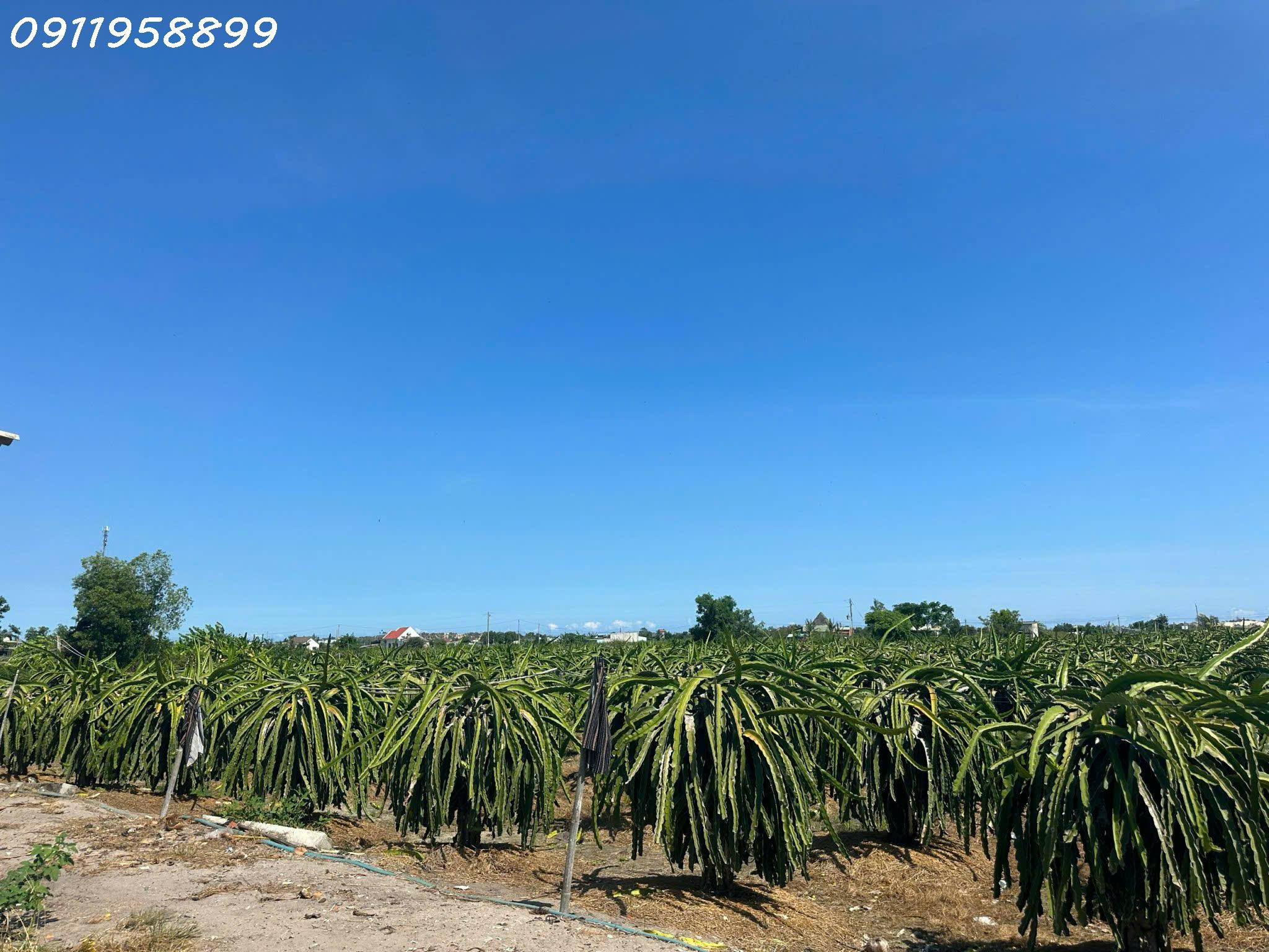 z6188389931247_e8562b58237107c87edf3f29c362d46e