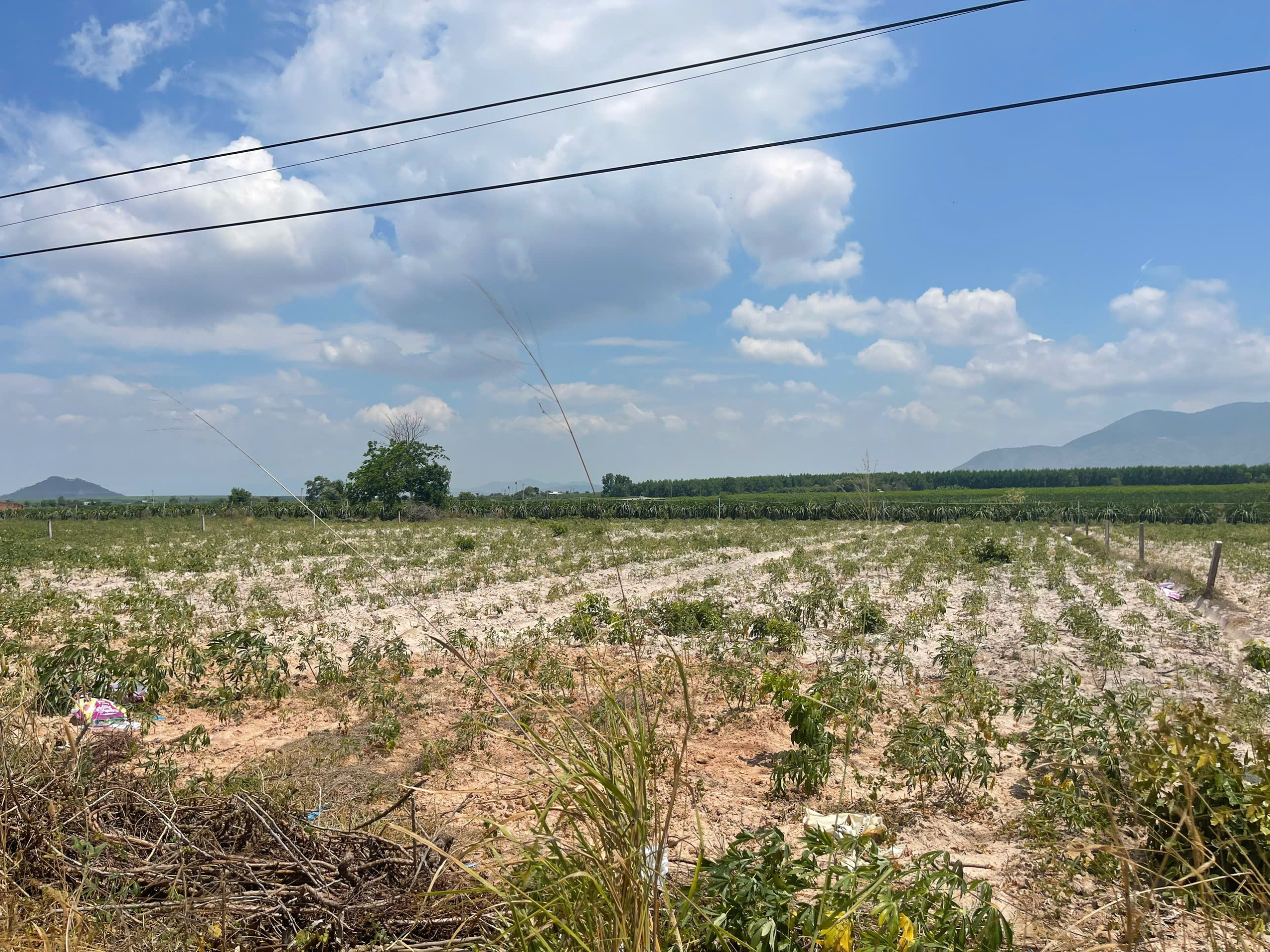 z6458140923695_a2e0eda01493d6a5ef504973db7afaab