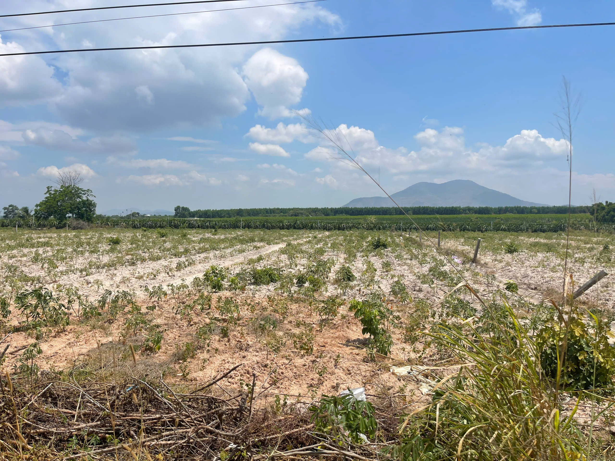 z6458140936312_cae0e27f33096c599cd06af9a3691382