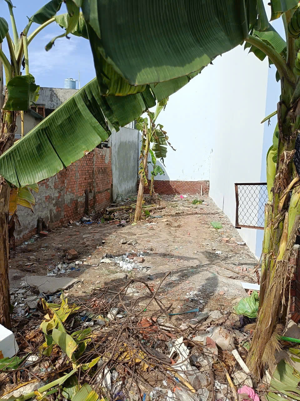 z6517343002173_66b901bb702d5e6302fe2af5d03e962c