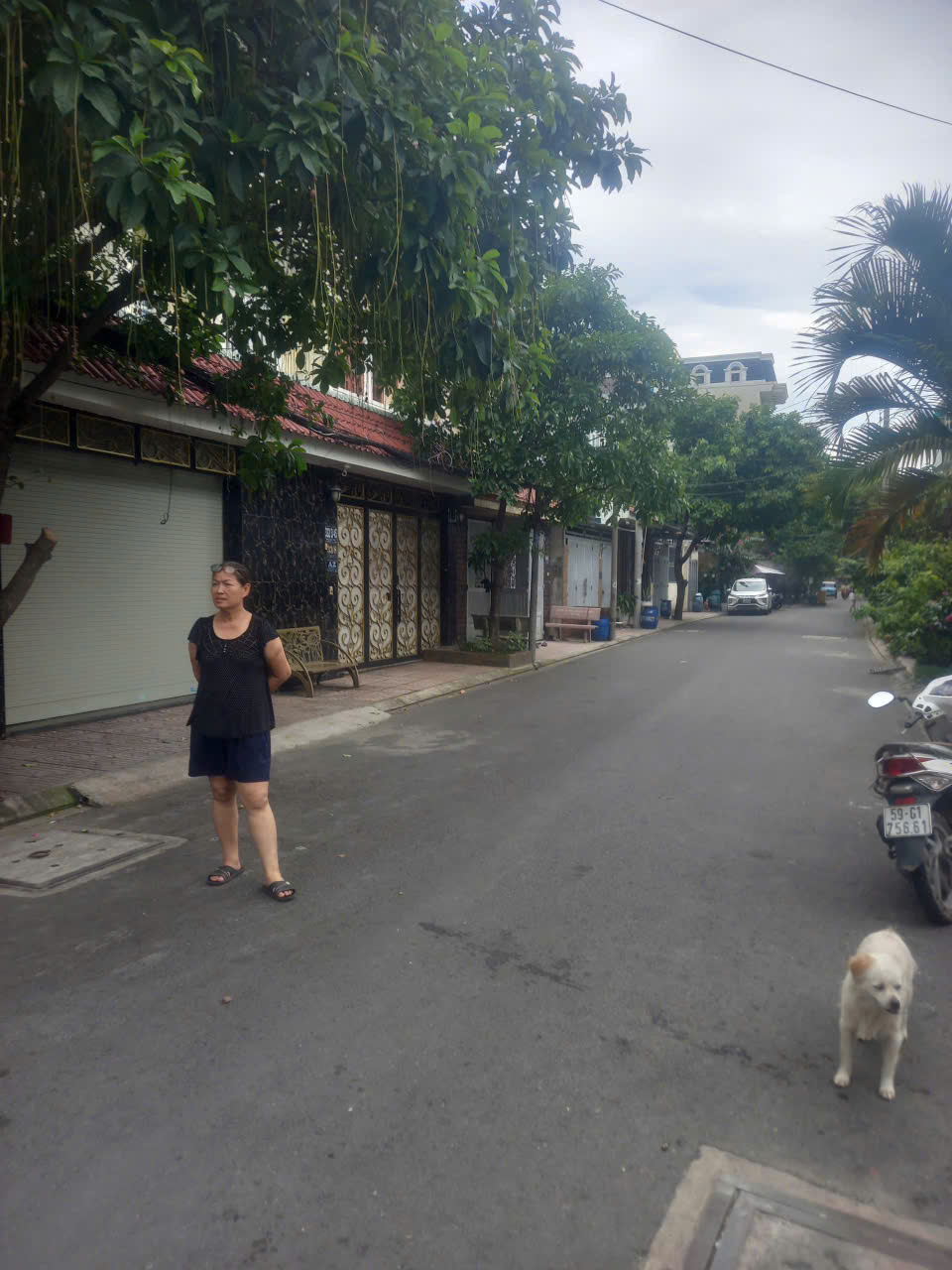 z6699274335182_2587aaf140f362f599da8f938d1d81f4