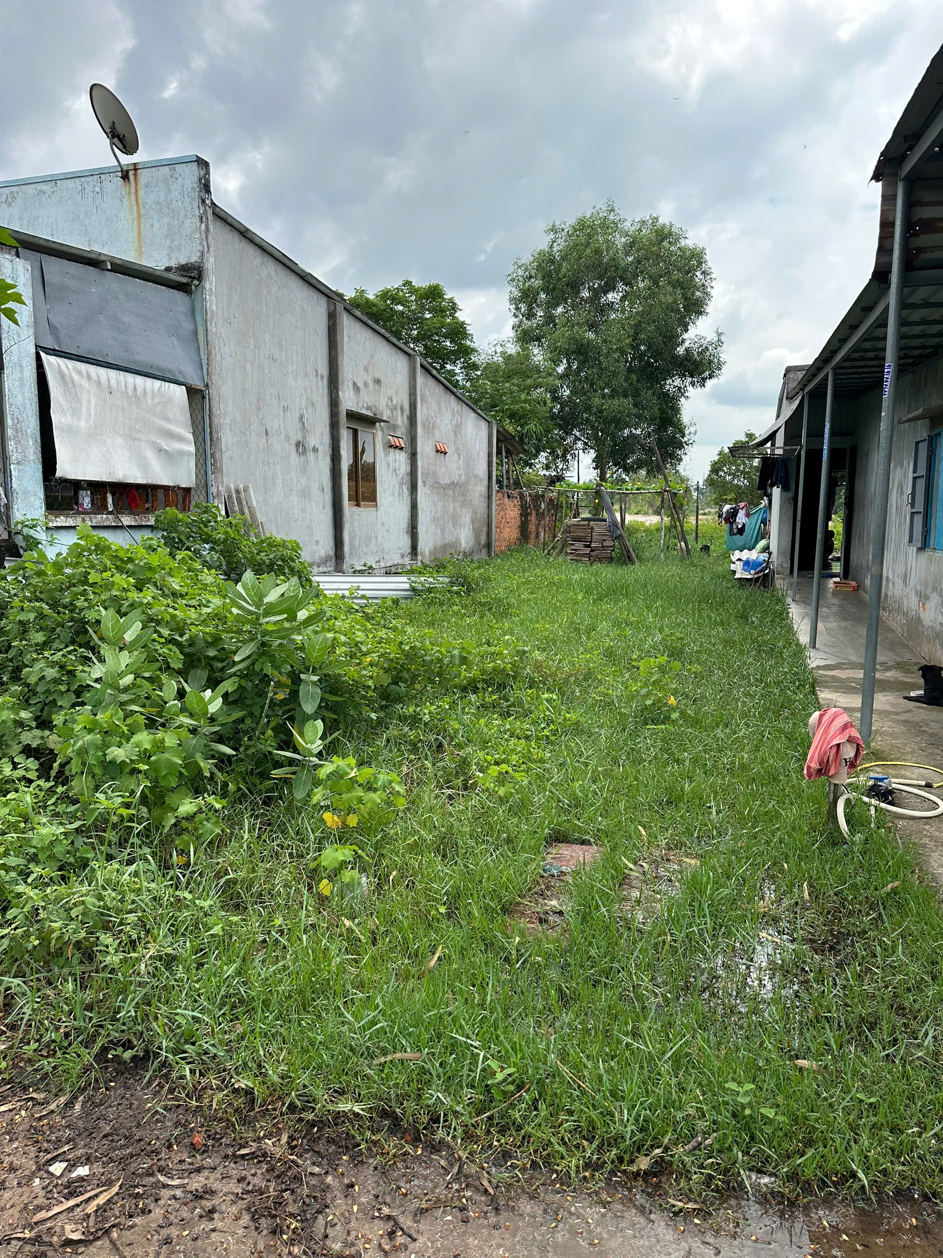 z6813809800047_4083222571087ba2d0e402e996c33128