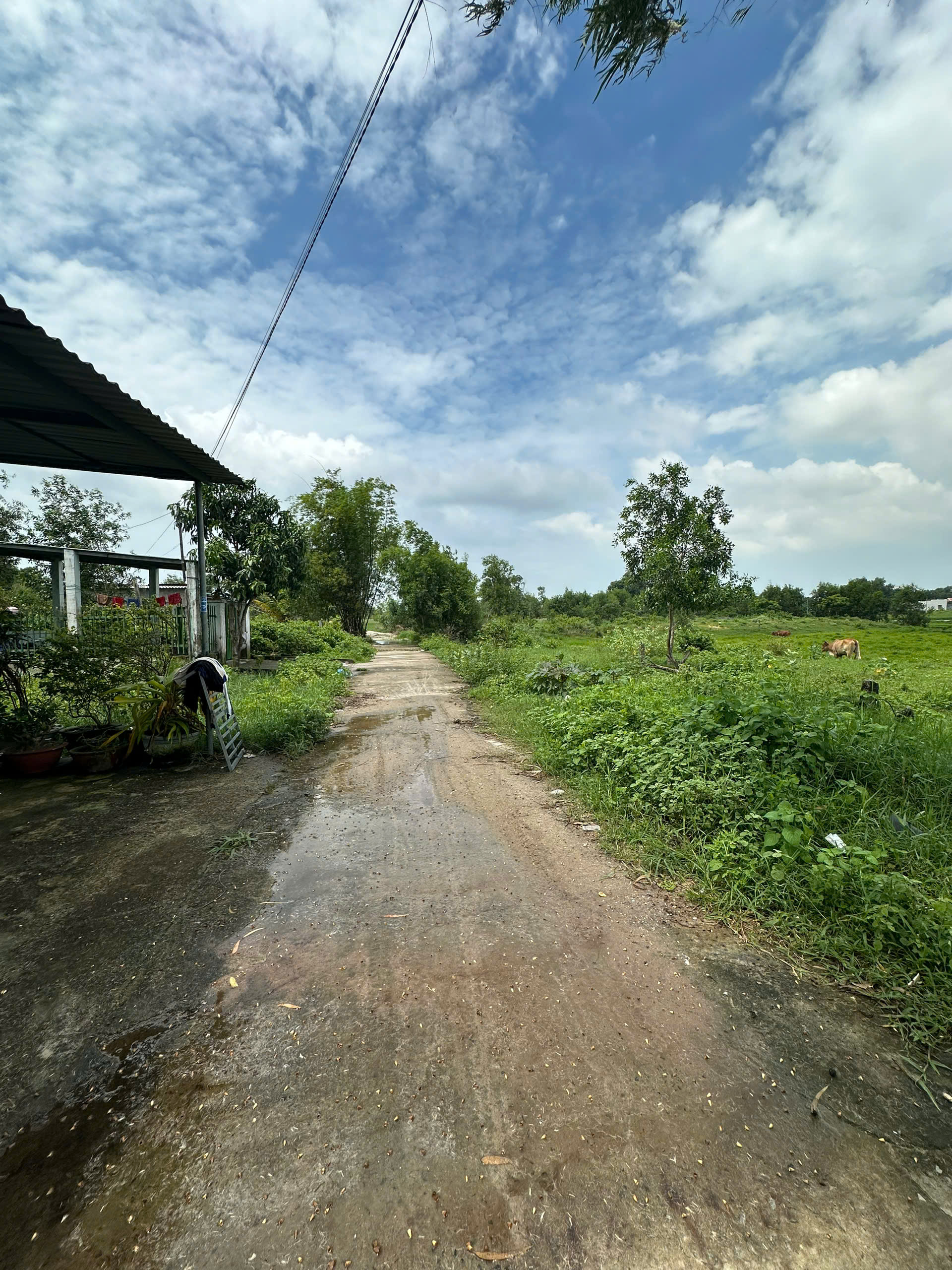 z6813809822419_8b8181f63dc072c69b14521ad9c35cf2