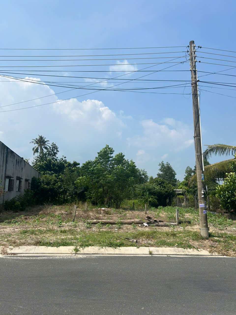 z6922664059046_157b5a3b6948236f4ed538771478da8d