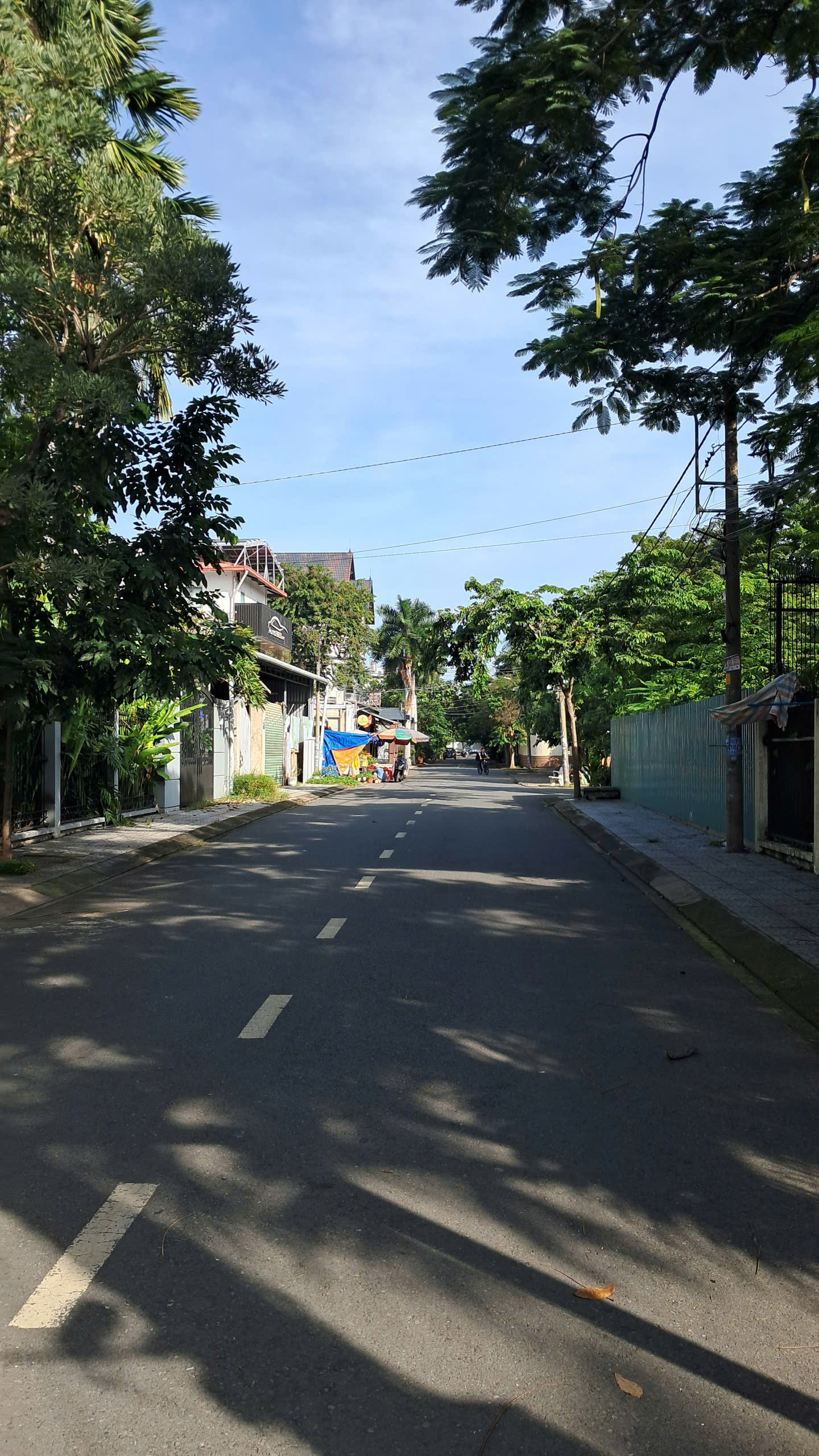 z7047381202135_e528e258fa7010871ef0699156627e21