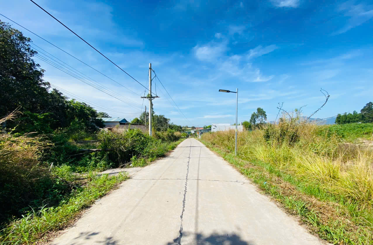 z7260259490401_96ec7ead450734a49de4921676f48812