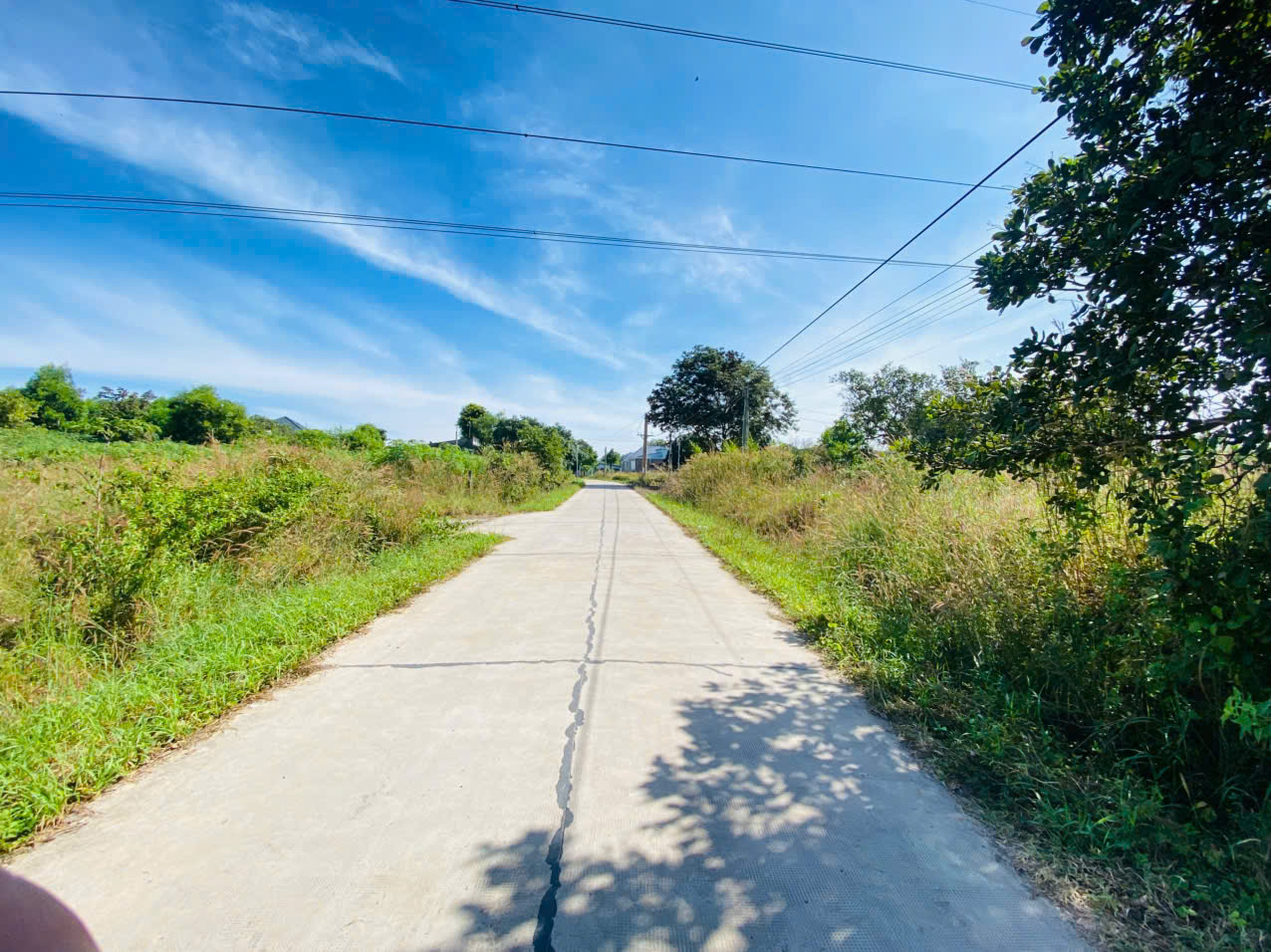 z7260259499032_bb91e4bbfc141447f8a51563f50e9a63