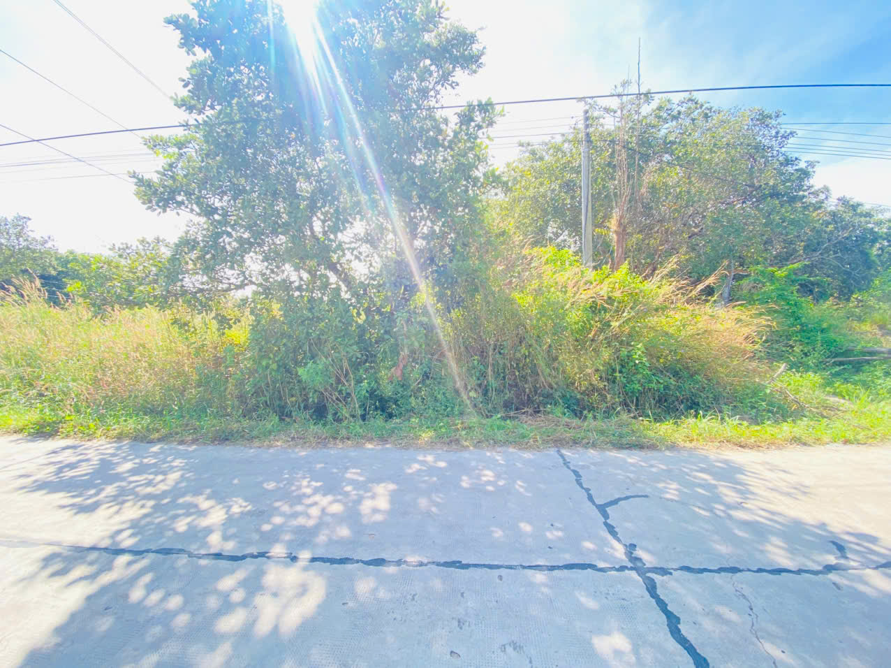 z7260259518134_4f1d3312e5c3aa75d6688418d00234a4