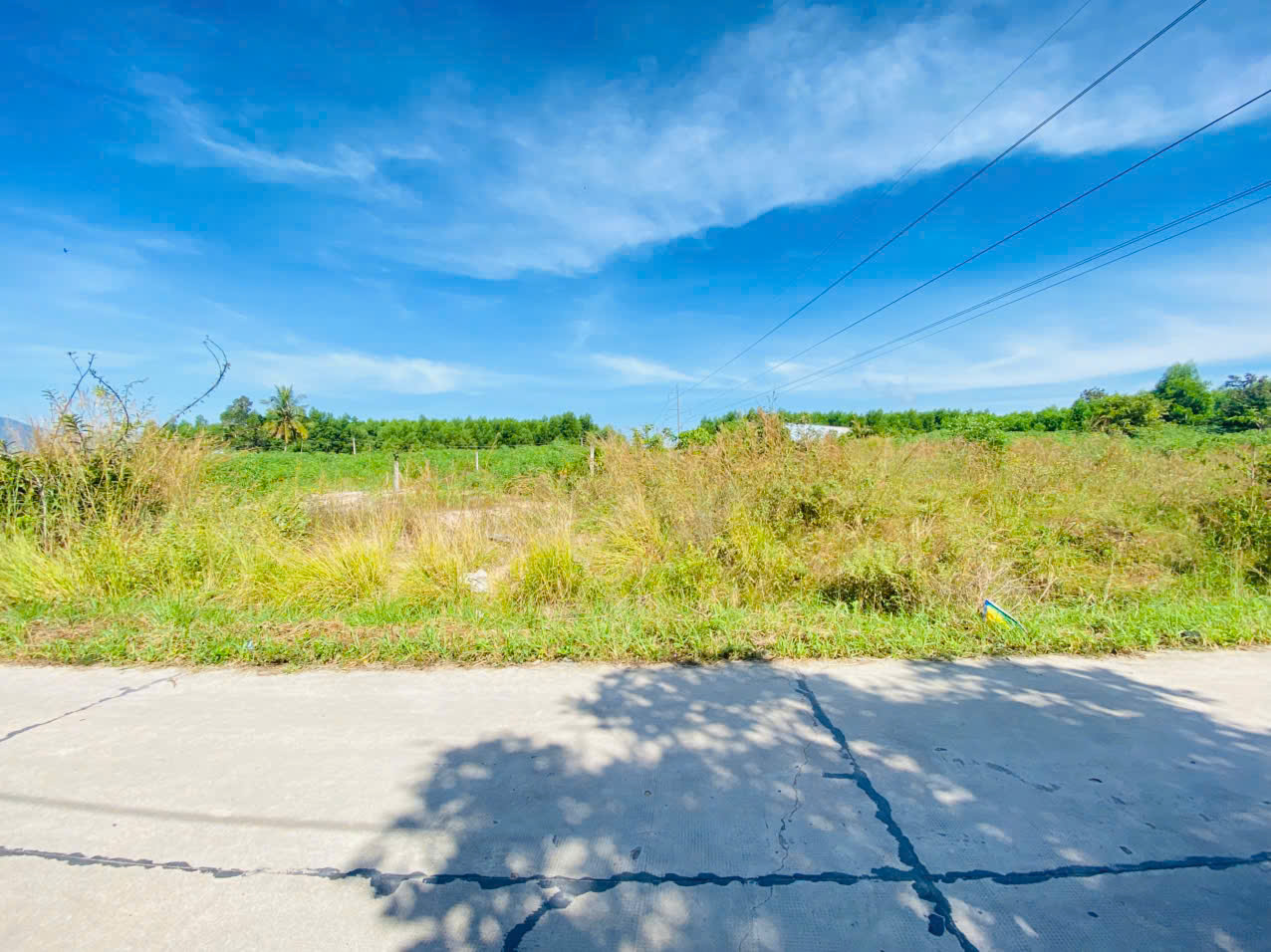 z7260259533414_0989156342ebb8fa0cffd96c3d243c89