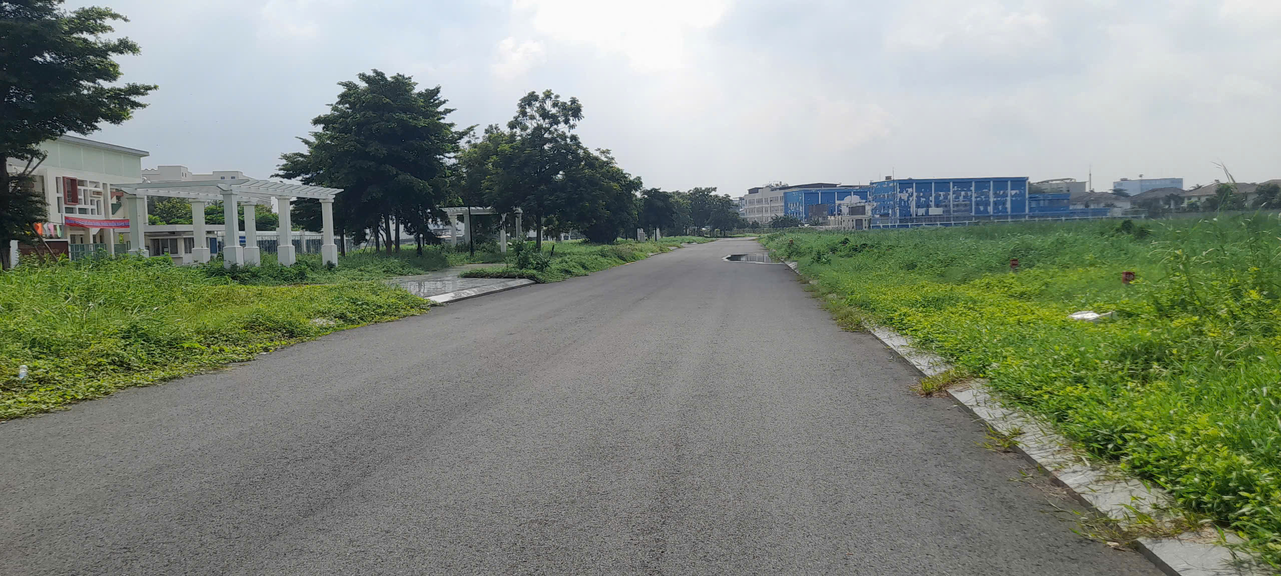 z7289473751229_a12618a36ca1792749d296e93c5243cd