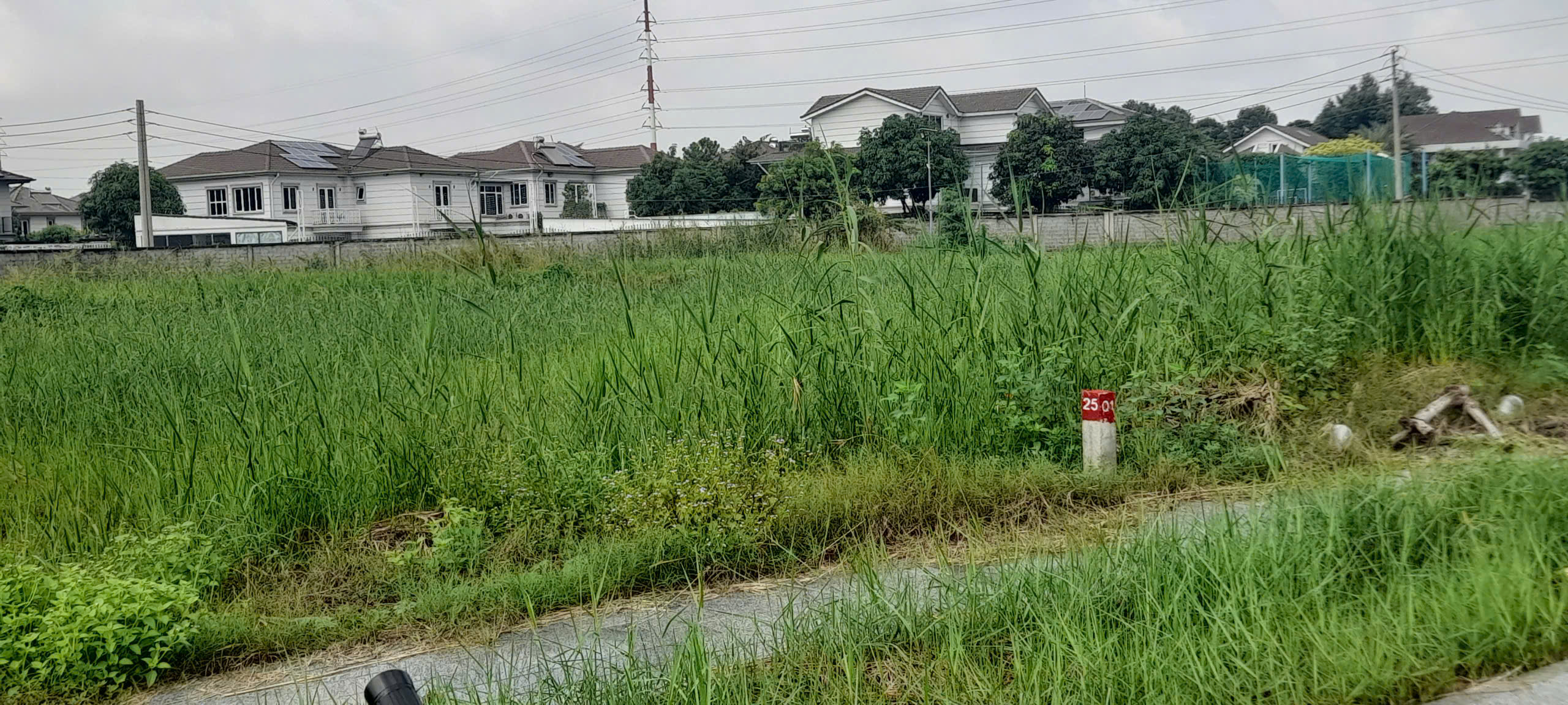 z7289473767134_8850cb8f0540bbe64c9c44b41c6ae82d