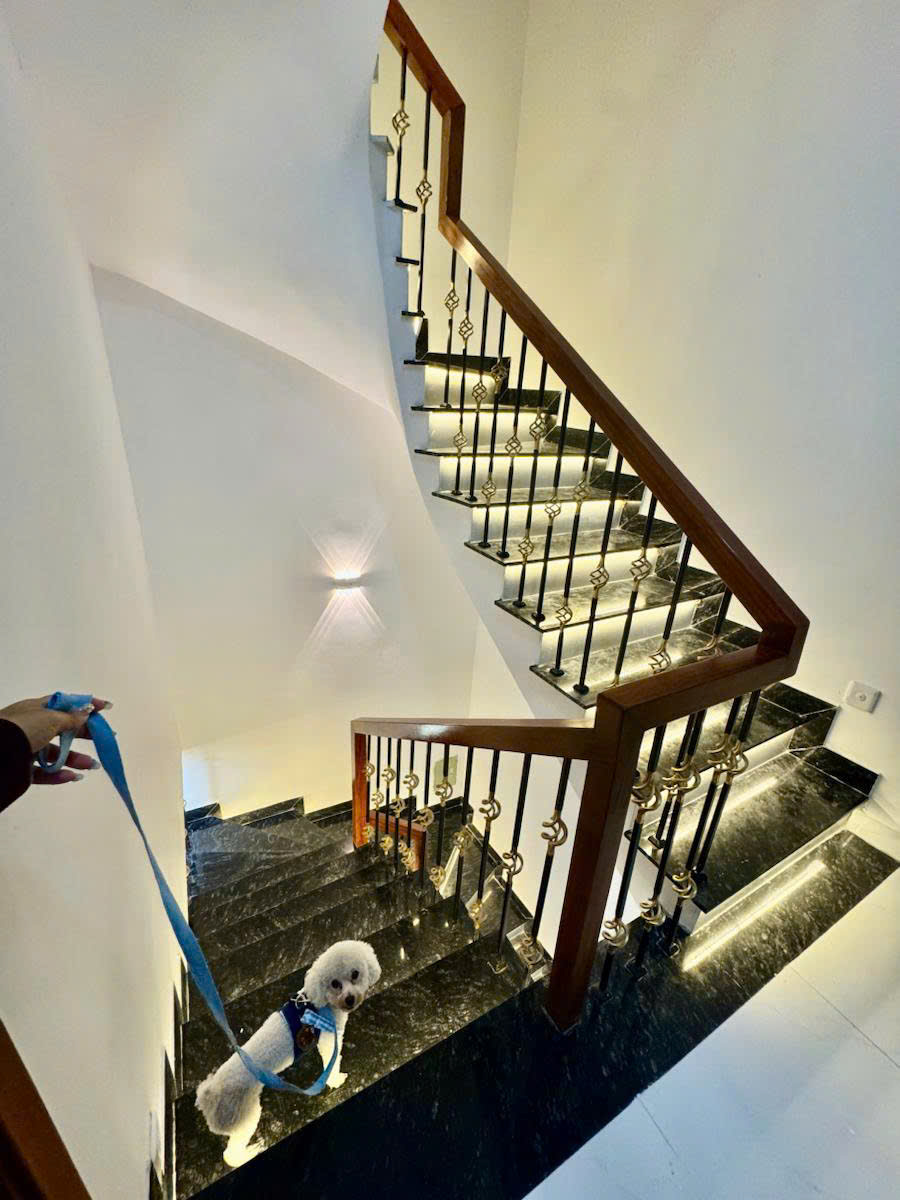 z7296732171989_b0a302f21d751bf25302821411581796