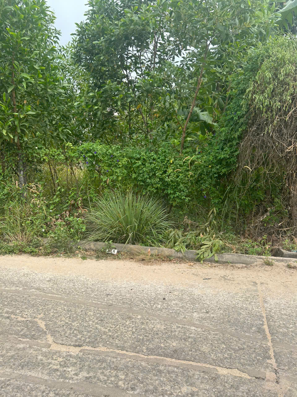 z7315873090450_fdc7761686298f1e78d8294a933b6b81