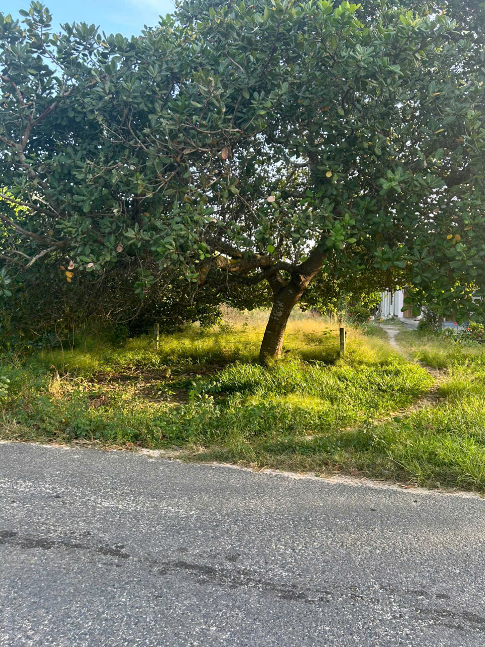 z7334708050485_bf4e60eac71df4df127ba284b20c3604