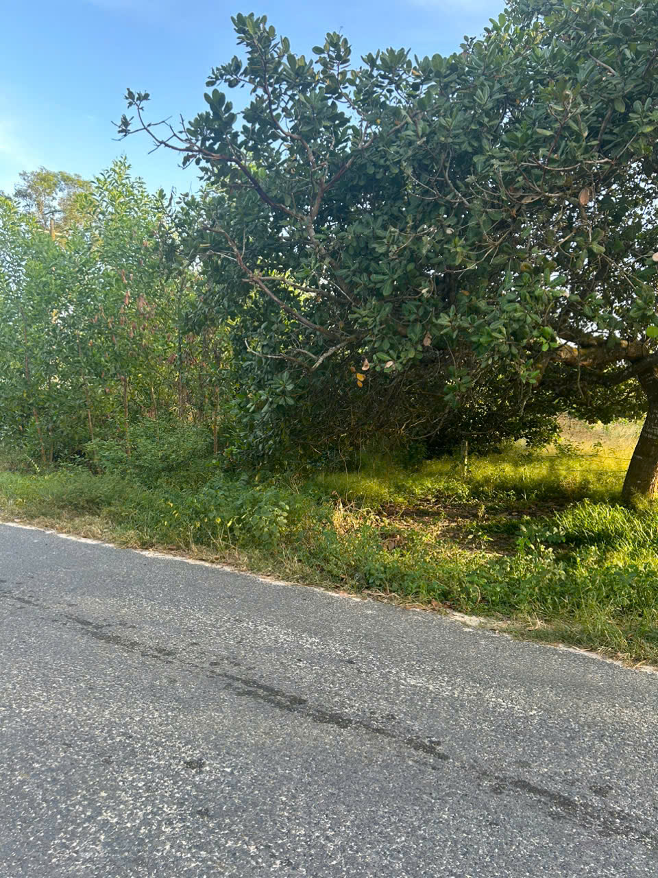 z7334708055651_e59f2136fa0c2d5d91f2f40ea5dd4fcd