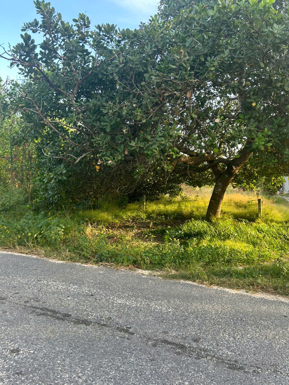 z7334708059559_bafc93a5e44d56874b7bea44d26ae306