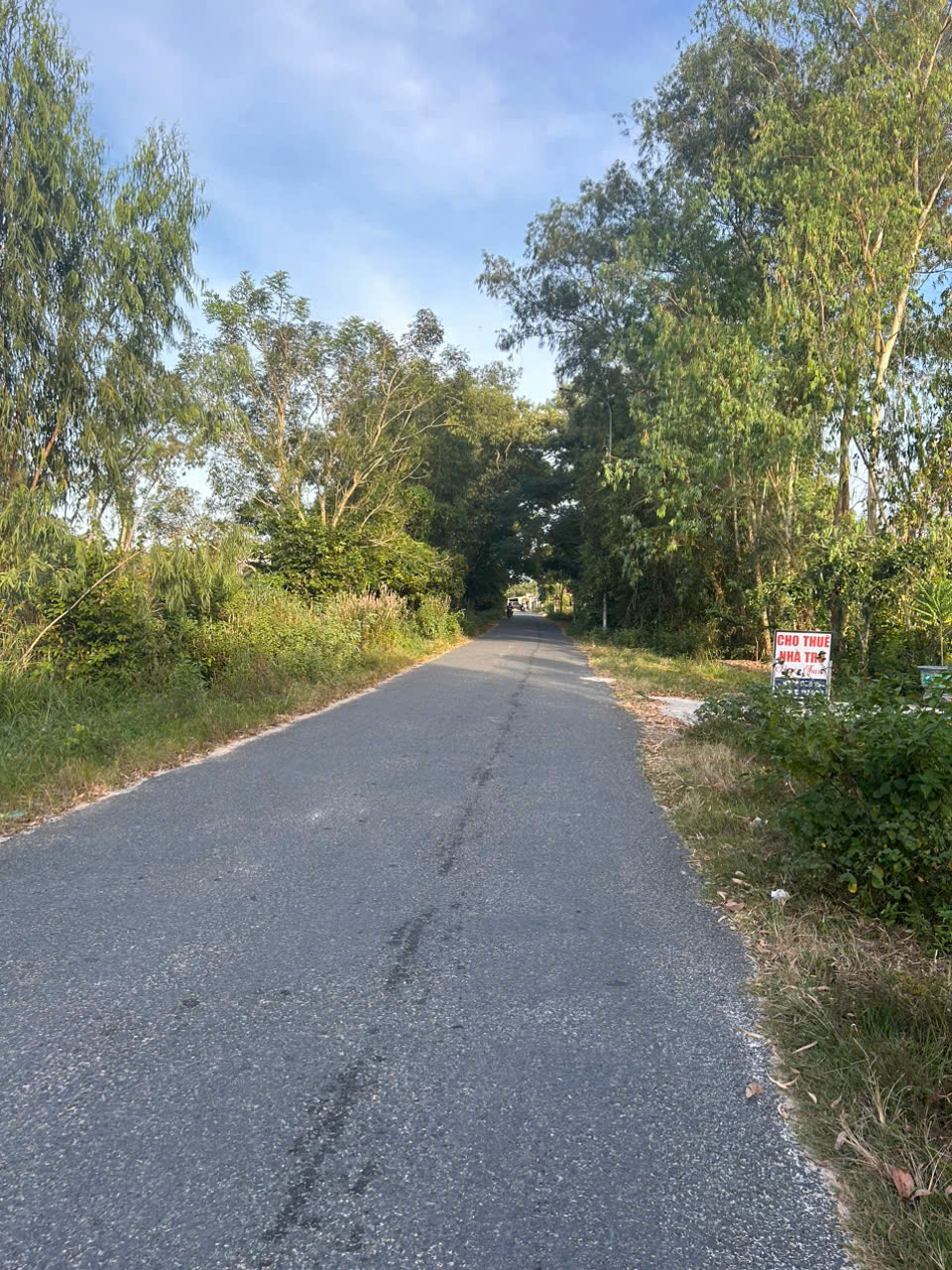 z7334708069654_da7a31d15d4e8e36cdf50042ccf60b20