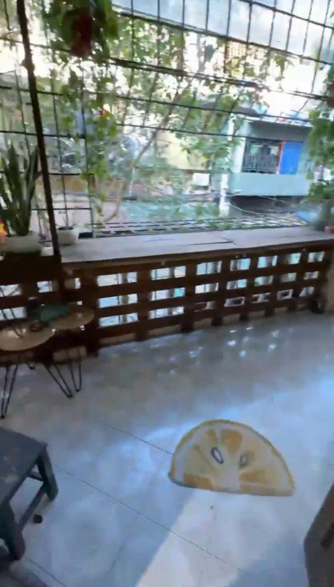 z7388352530716_dc7c872c02a696eda43dd125496ad605