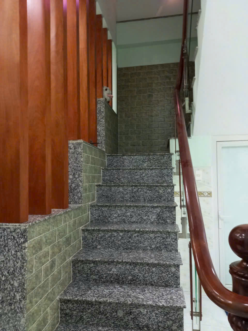 z7429070058975_af801a1ac5ad364c43f07caa565e6ea9