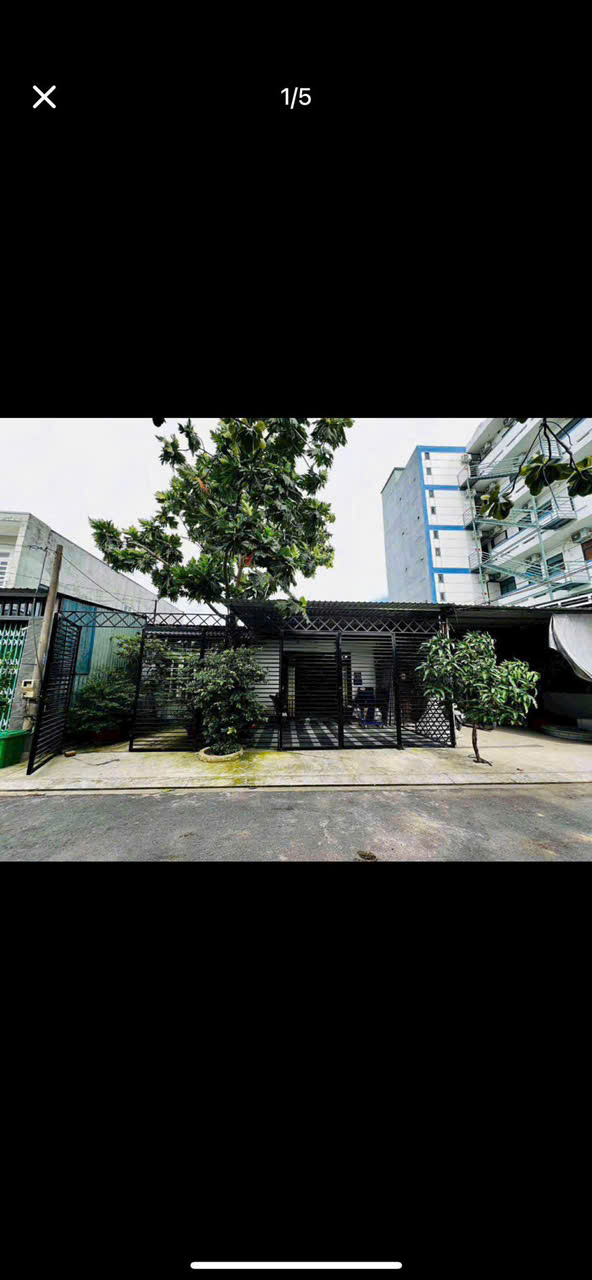 z7436669495743_6c803330639902ac477973592b6bf5e7