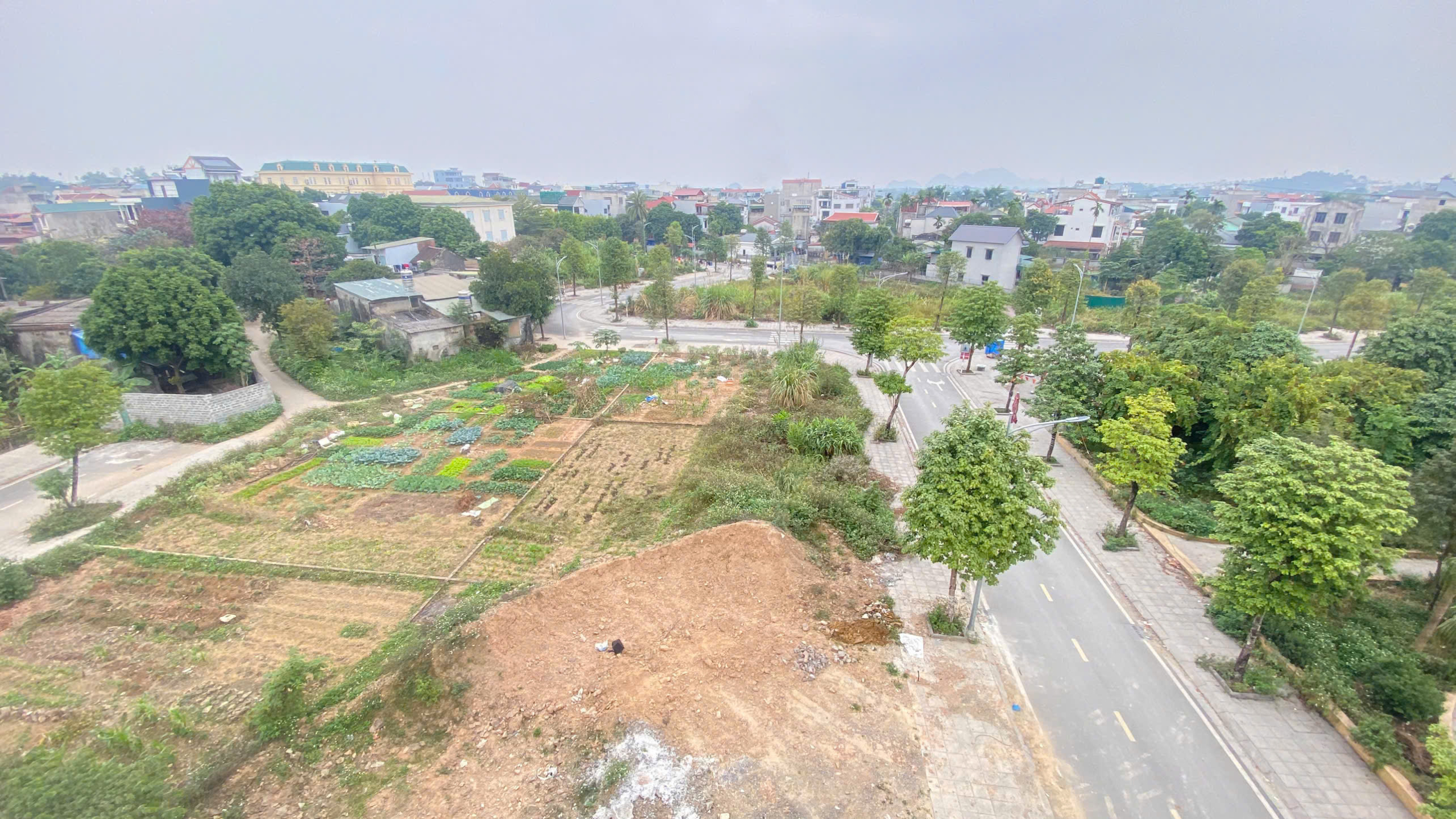 z7437134166693_42b0790bb9d3664b81472a40169be7b5