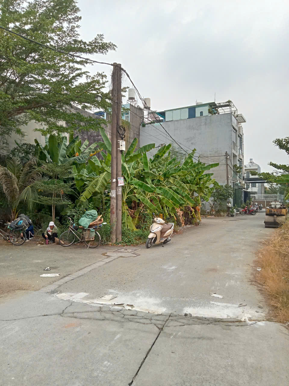 z7451187202101_c44bdccafb9c77b703e1c71870002890