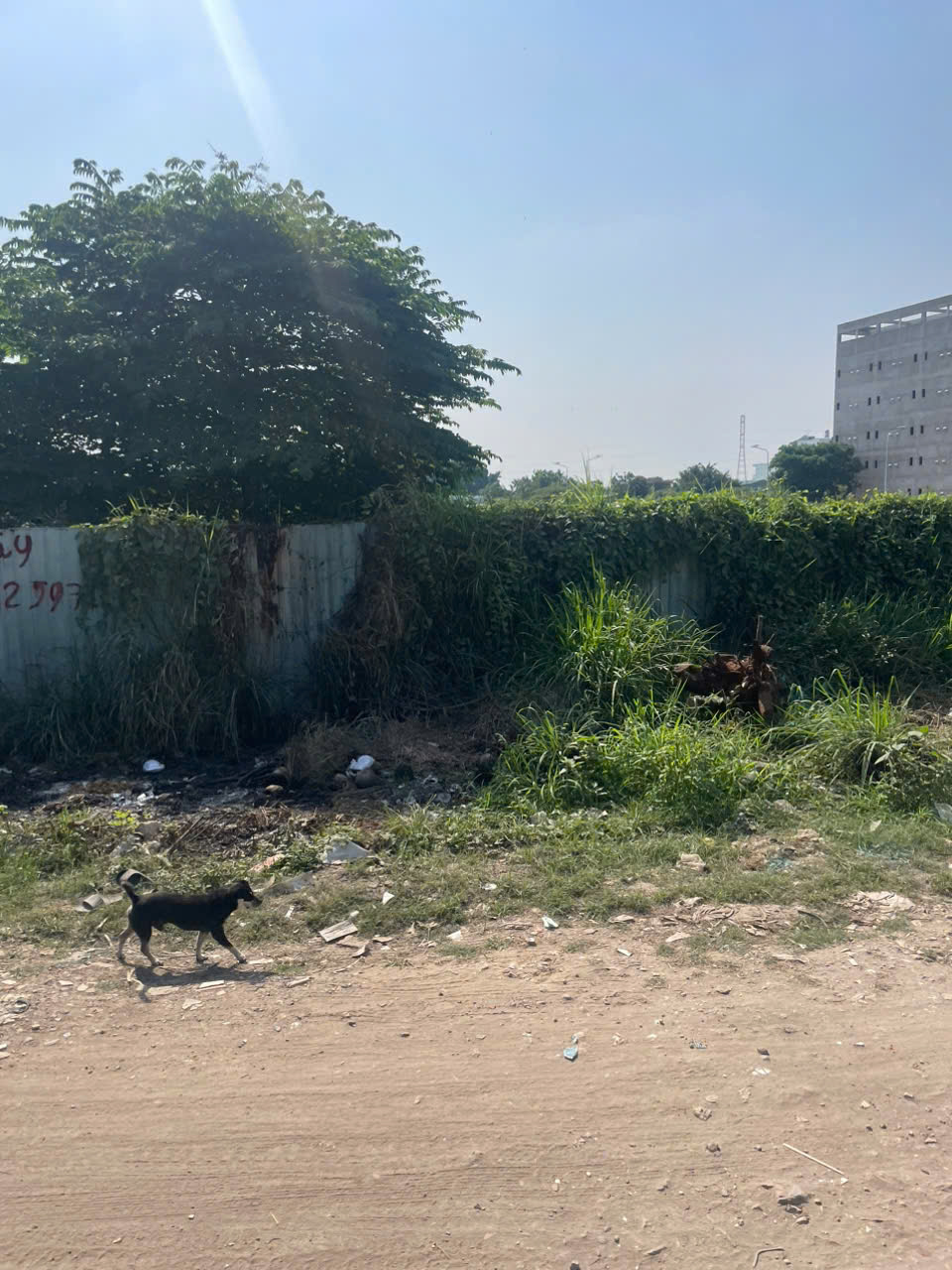 z7462521811391_bab11798a254bad74ba24a216b4406c2