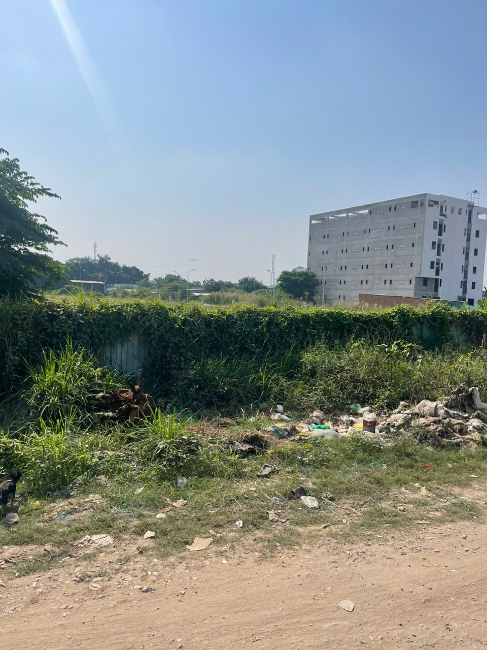 z7462521862628_a3edbc7e123348e34d37bab5caf53610