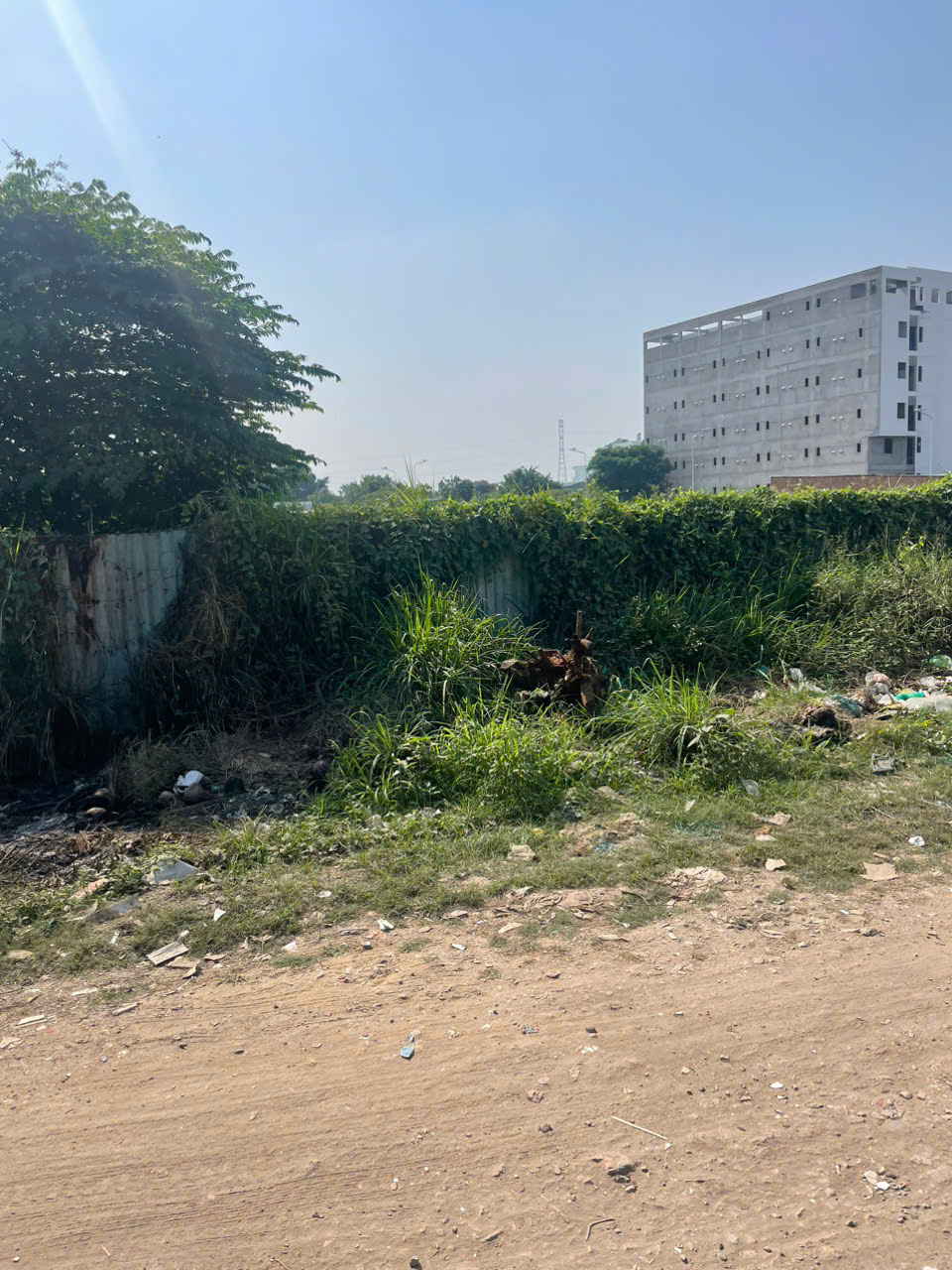 z7462522000213_41b6c1438ab0eaca563a373b3c599812