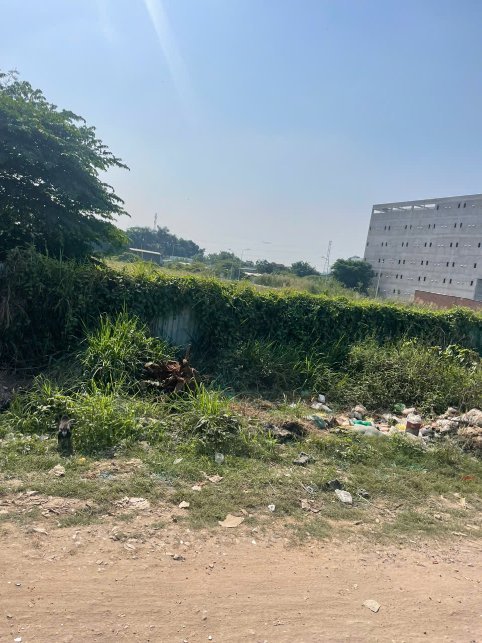 z7462522021053_e93b2bc6e24839c45a4c731522aec5f7