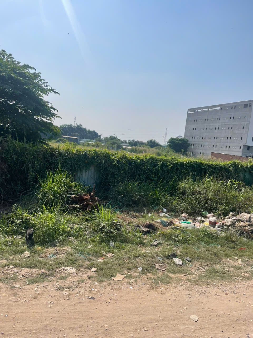 z7462522037540_2e6430b4d45b222a16409df2de616e41