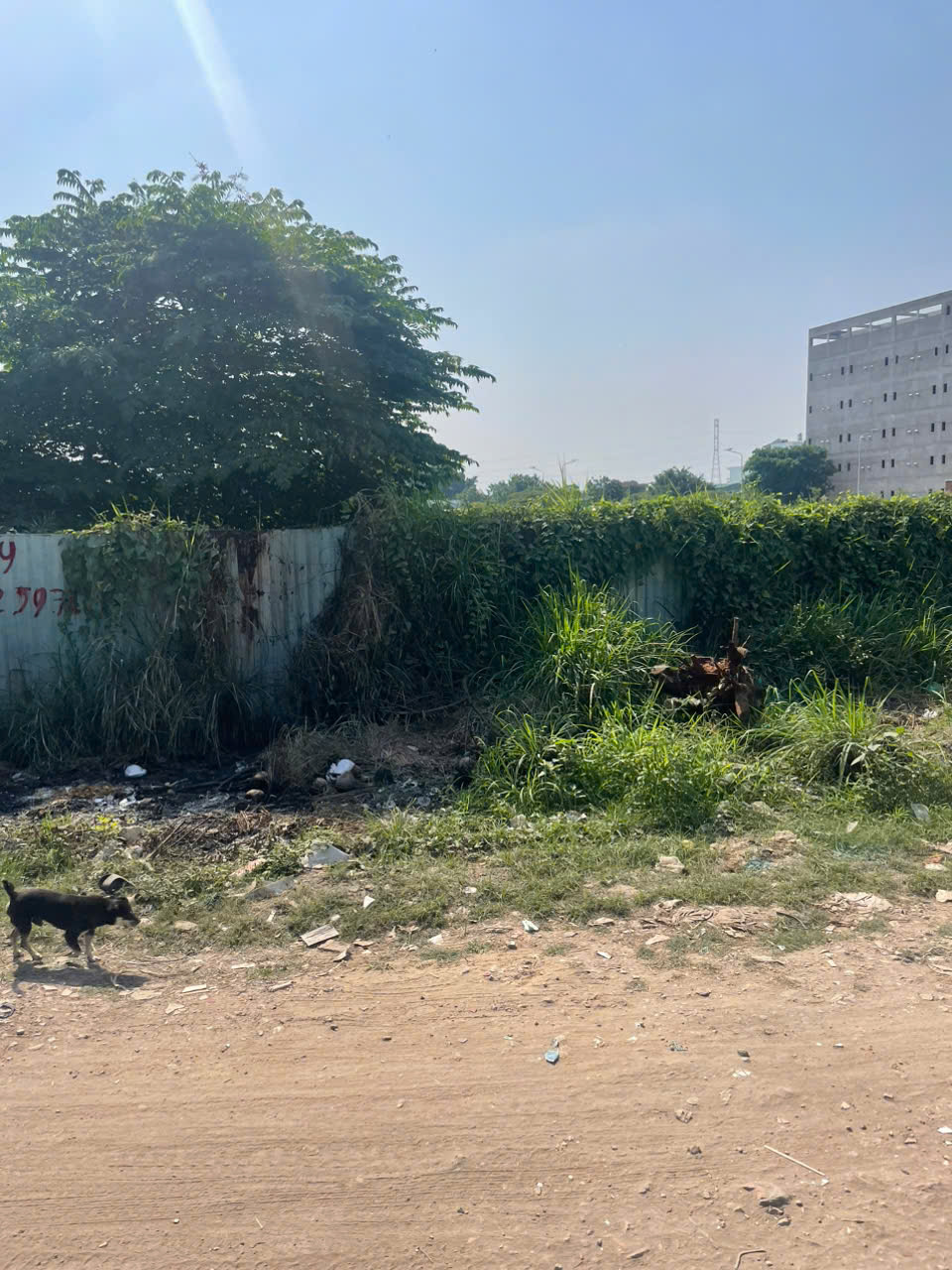 z7462522083469_e724695f505b64ec2d603df57f8b53e8