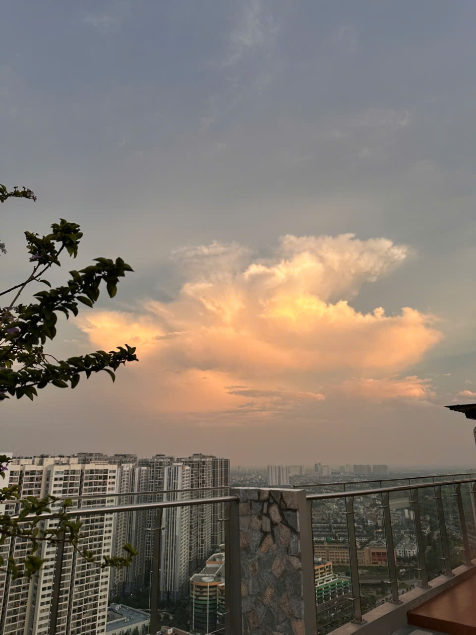 z7464084298243_de9dfa7d7c15f25f60699ad3d5f735d2