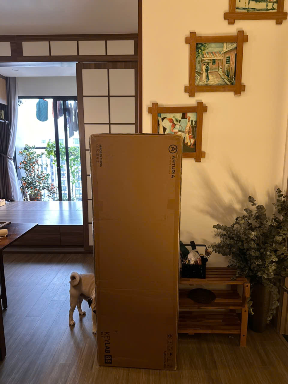 z7464084313594_9c2fd7f779307b38be3d2d5fd5a2614a