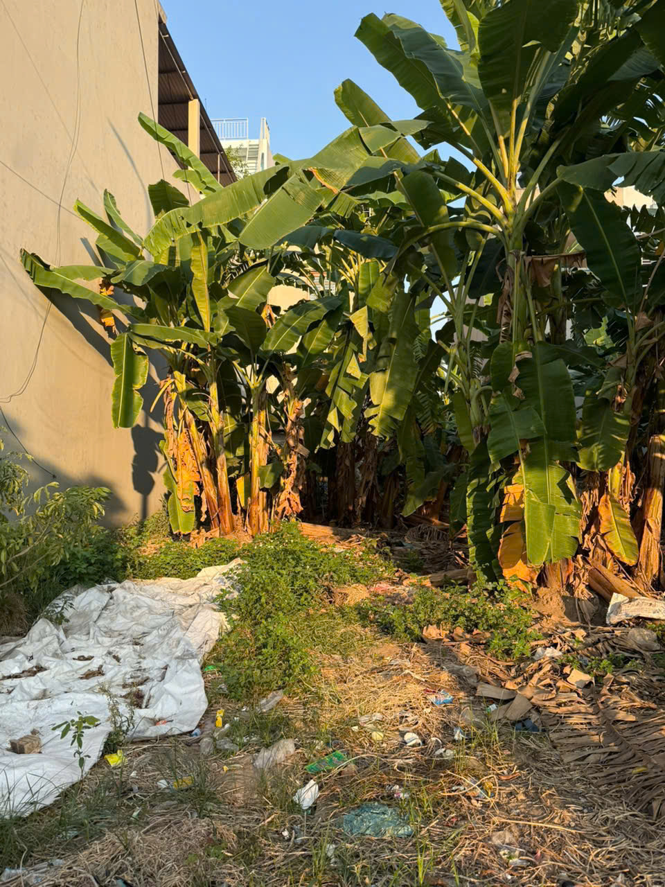 z7466052562419_0ad49df5a9739257d6a1304a7818c598