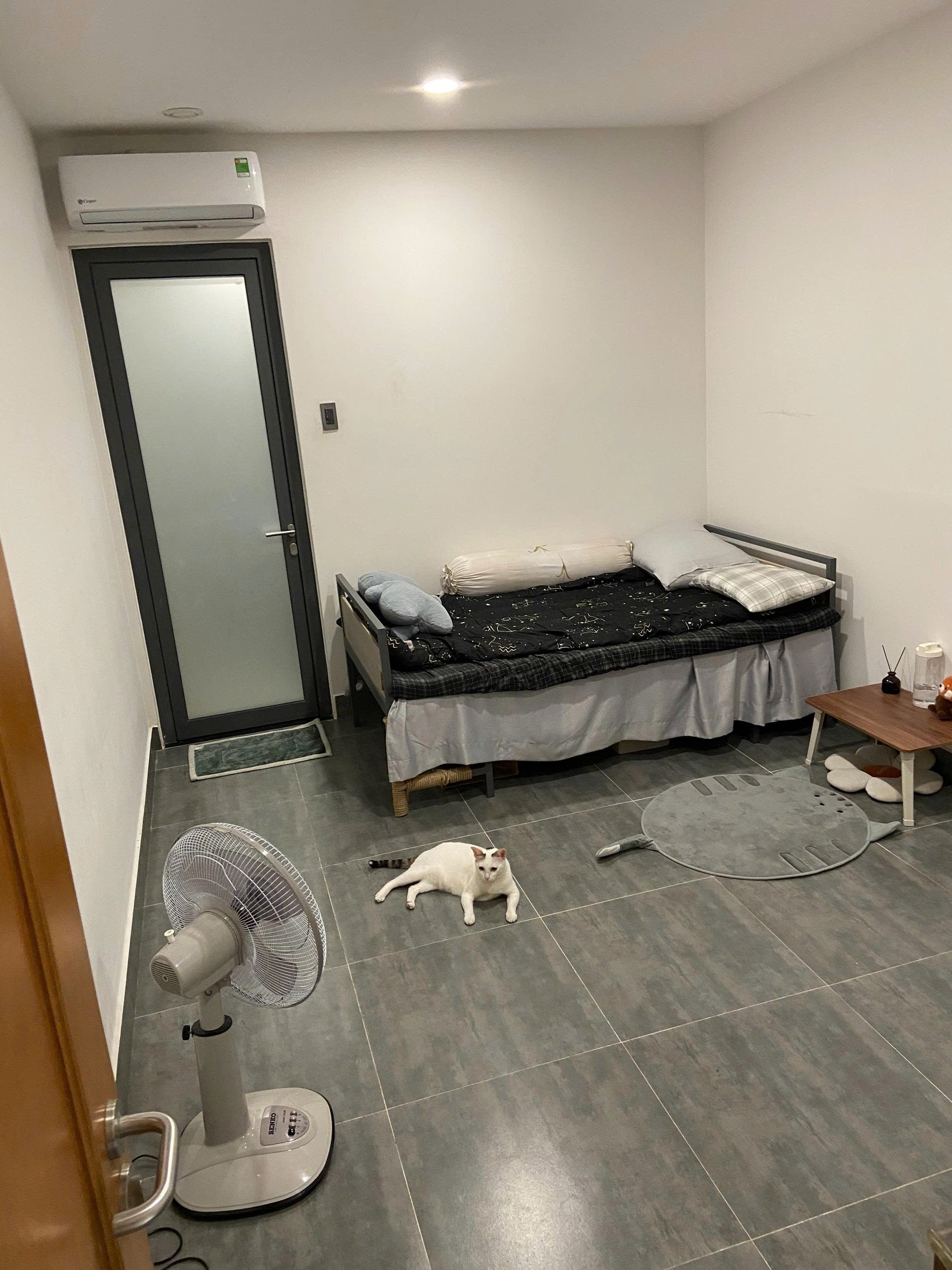 z7468246131118_bda95fa922723c5477842e8e5a384082