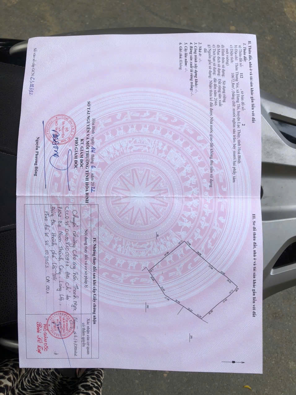 z7469204741155_d12a21f8f4567ea999ea9f86717be868