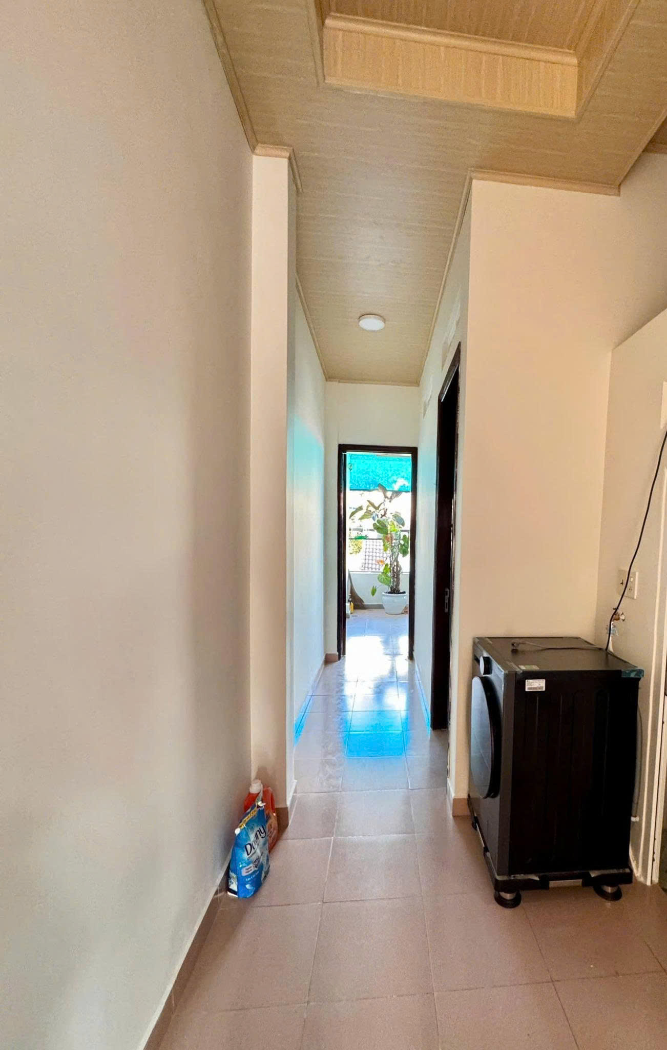 z7469455966545_8665b07c9a72fe423af175b64c552ba3