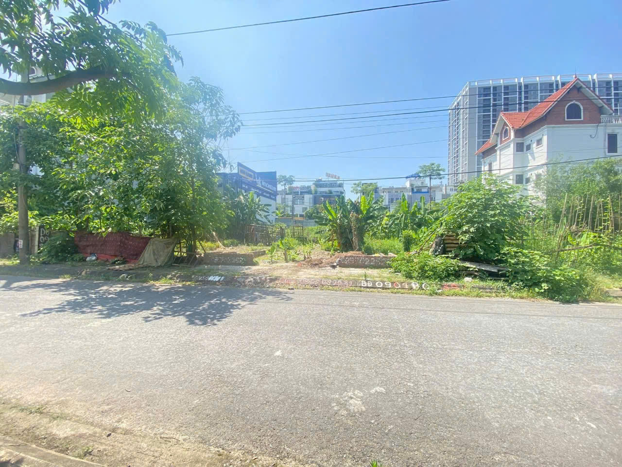 z7470667299875_c5608975be0d622c6e7e1d06d11e08cb